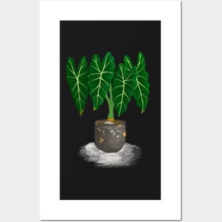 Alocasia Frydek Rare Plant Posters and Art